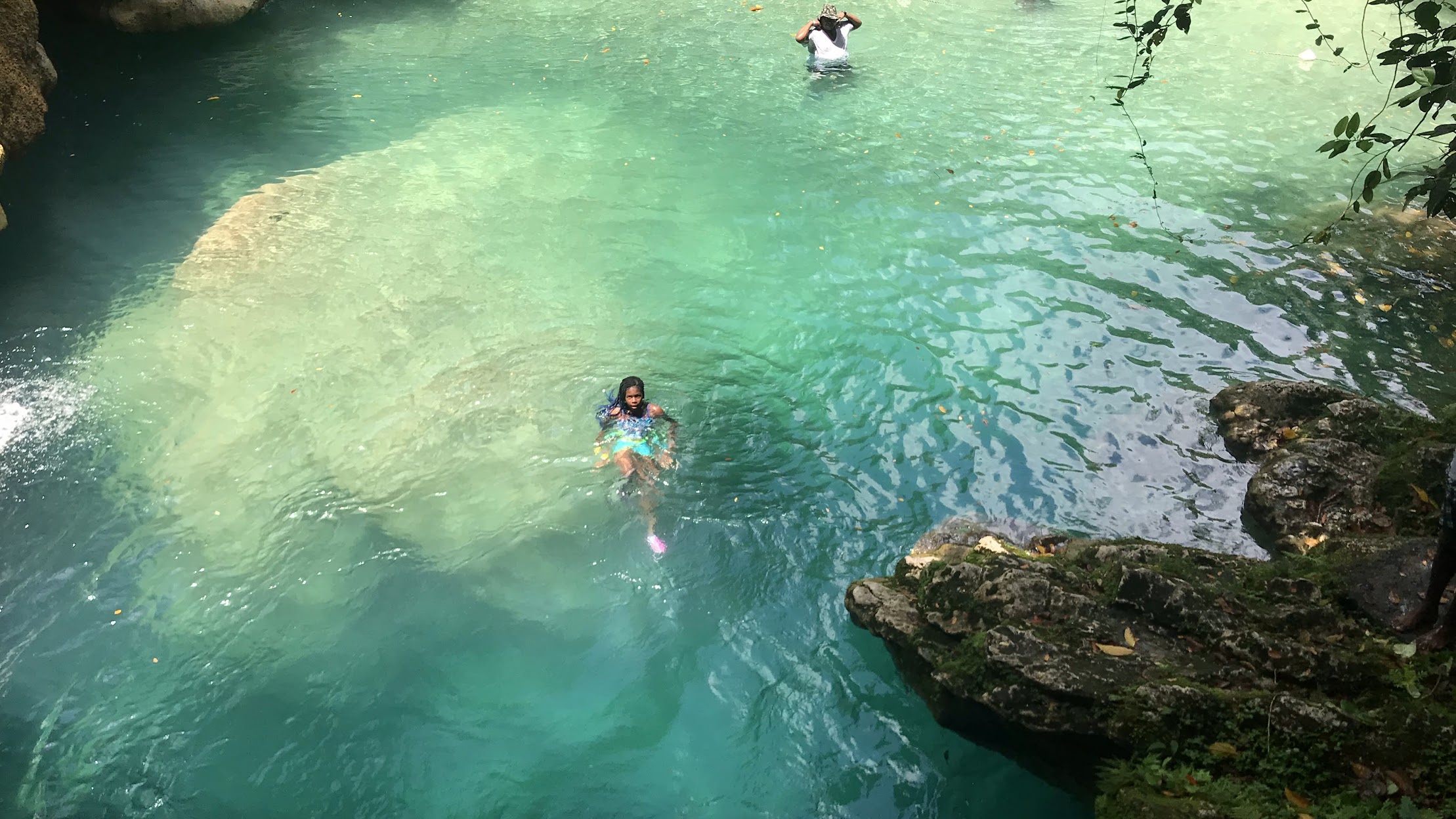 Marley swimming at Reach Falls