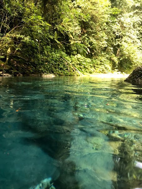 The river behind Reach Falls Jamaica
