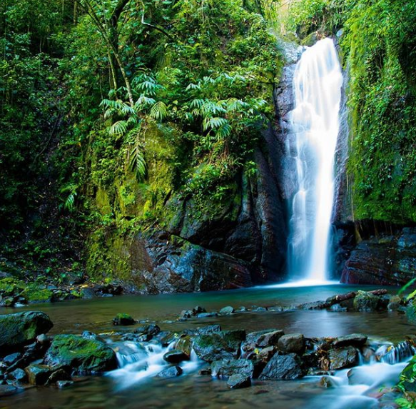 The Top Ten Waterfalls in Jamaica to Explore