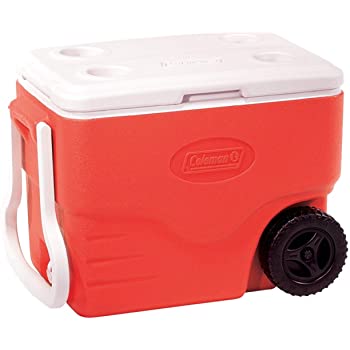 coleman beach cooler
