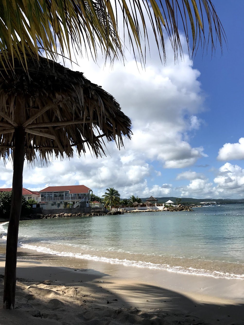 Jewel's Paradise Cove