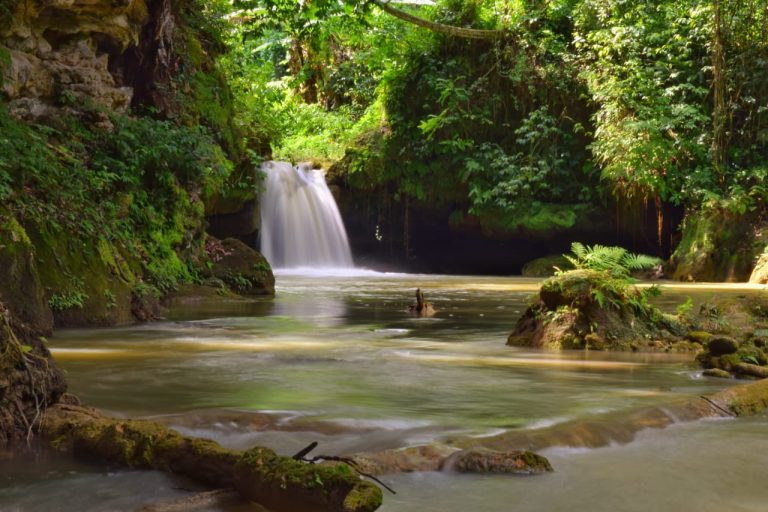 8 Adventurous Things to Do in St Elizabeth Jamaica