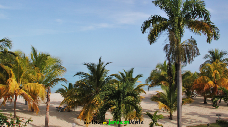 Your questions about Kingston Jamaica answered by a local. Is it safe? What's there to do? Where should I eat? Can I smoke weed? All these question