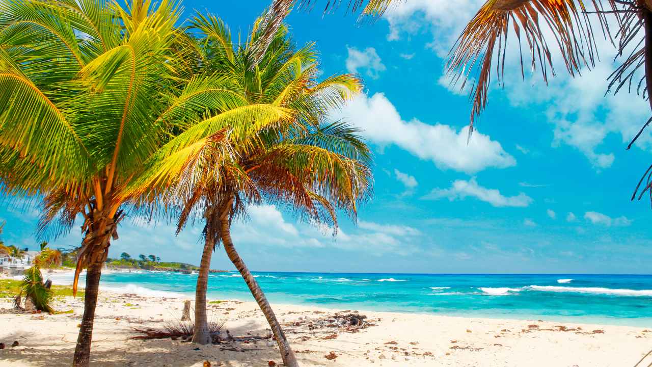 What Language Is Spoken in Jamaica?